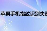 苹果手机指纹识别失灵：问题解析与解决方案