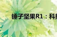 锤子坚果R1：科技与美学的完美结合