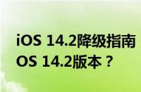 iOS 14.2降级指南：如何安全有效地降级至iOS 14.2版本？