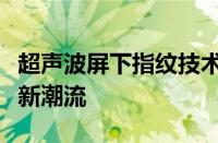 超声波屏下指纹技术：引领智能时代身份验证新潮流