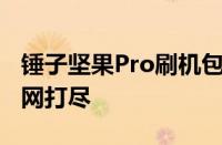 锤子坚果Pro刷机包：专业教程与最新资源一网打尽