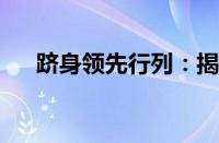 跻身领先行列：揭秘成功的秘诀与策略