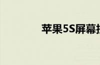 苹果5S屏幕技术解析及特点