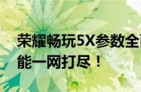 荣耀畅玩5X参数全面解析：性能、设计和功能一网打尽！