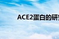 ACE2蛋白的研究进展与未来展望