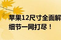 苹果12尺寸全面解析：从屏幕到机身尺寸，细节一网打尽！