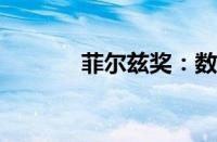 菲尔兹奖：数学界的荣誉之巅