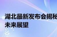 湖北最新发布会揭秘：发展动态、政策解读与未来展望