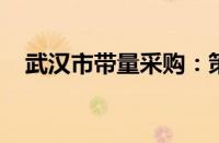 武汉市带量采购：策略、影响与前景展望