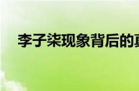 李子柒现象背后的真相：真实还是假象？